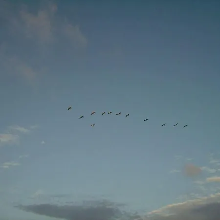 Langeness In Haus Halligblick Dagebüll