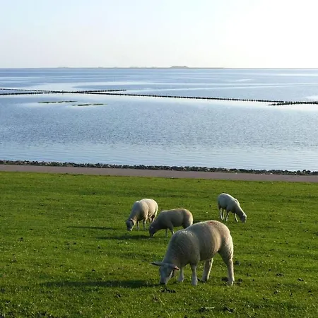 Langeness In Haus Halligblick בית נופש Dagebüll