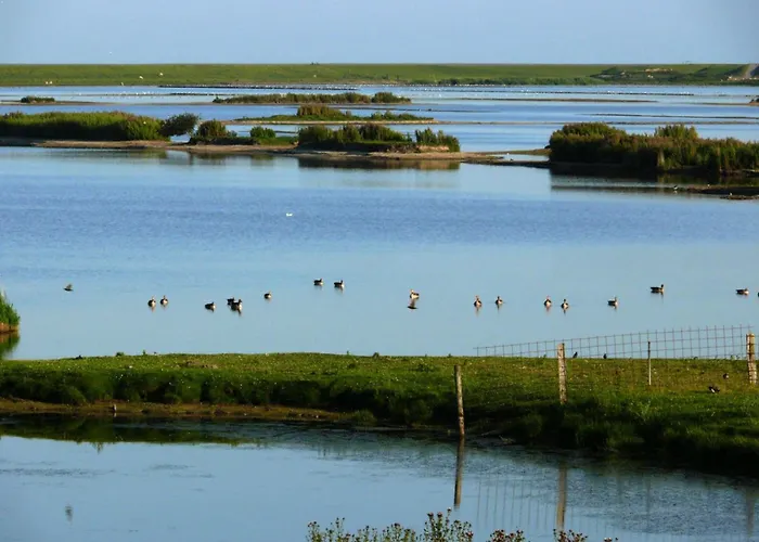 Langeness In Haus Halligblick Vakantiehuis *