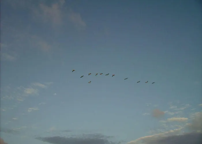 Langeness In Haus Halligblick Vakantiehuis *